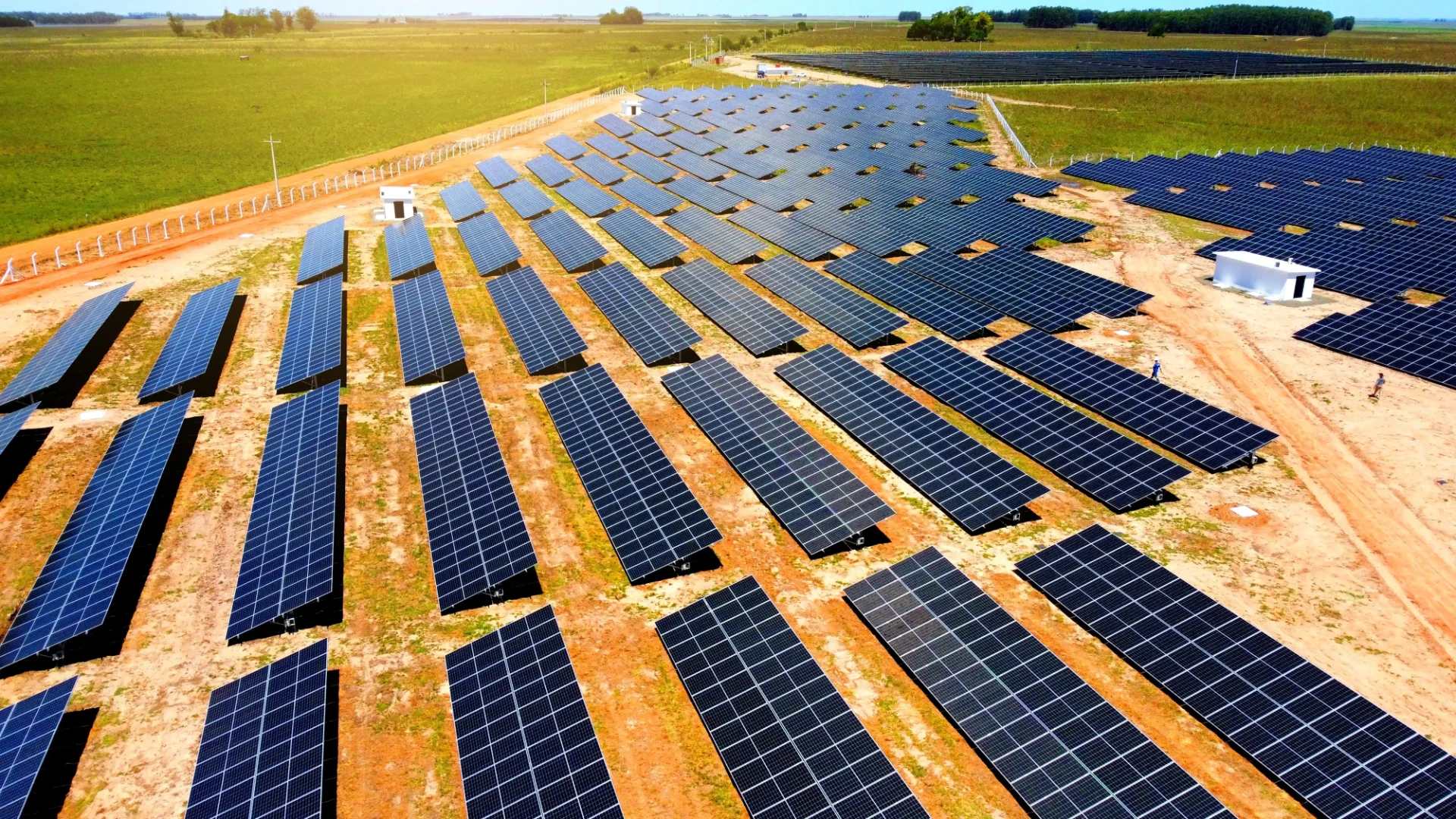 Fileiras de módulos fotovoltaicos em uma usina da Futura